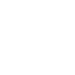 Git Logo